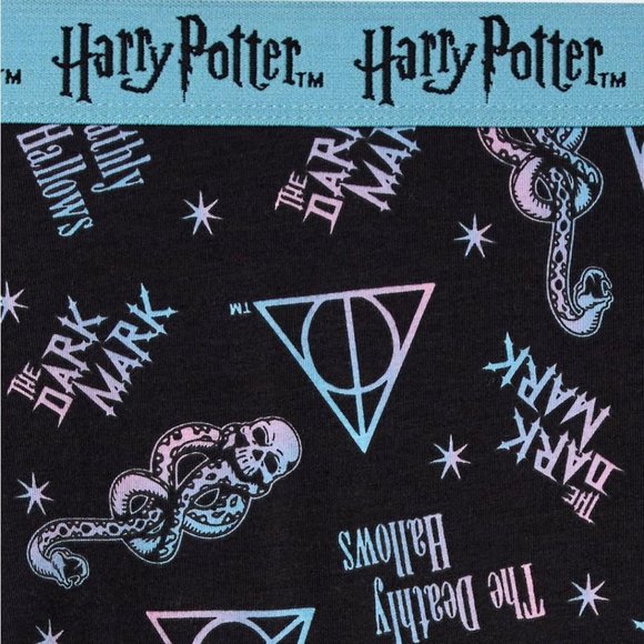 ❤️NWT VINTAGE TORRID HARRY POTTER HOGWARTS BOYSHORT PANTY - PLUS SIZE PANTIES 4X - Picture 2 of 9